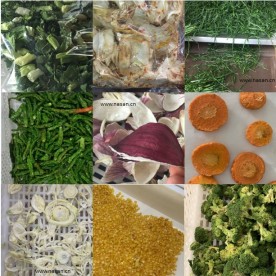 Vegetables Dryer