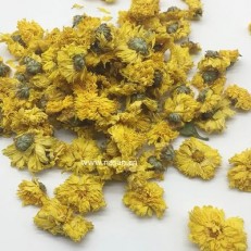 Flos Chrysanthemi Dryer