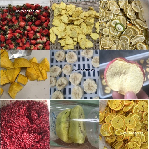 Fruit Drying Machine Manufacturers & Suppliers - Nasandry