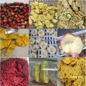 Nasandry Fruit Dehydrator