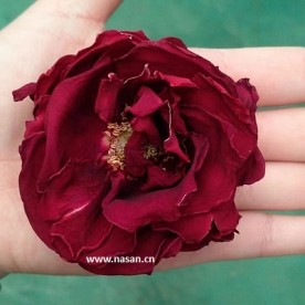Rose Dryer