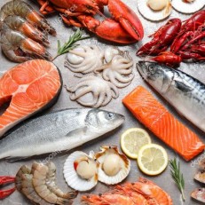 Seafood Dryer