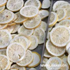 Freeze Lemon Dryer