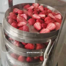 Freeze strawberry dryer