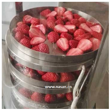 Freeze strawberry dryer