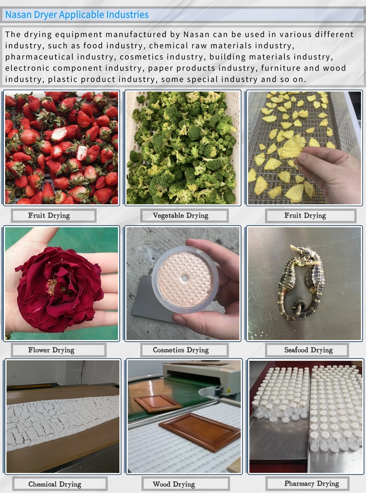 Fruit Vacuum Freeze Dryer