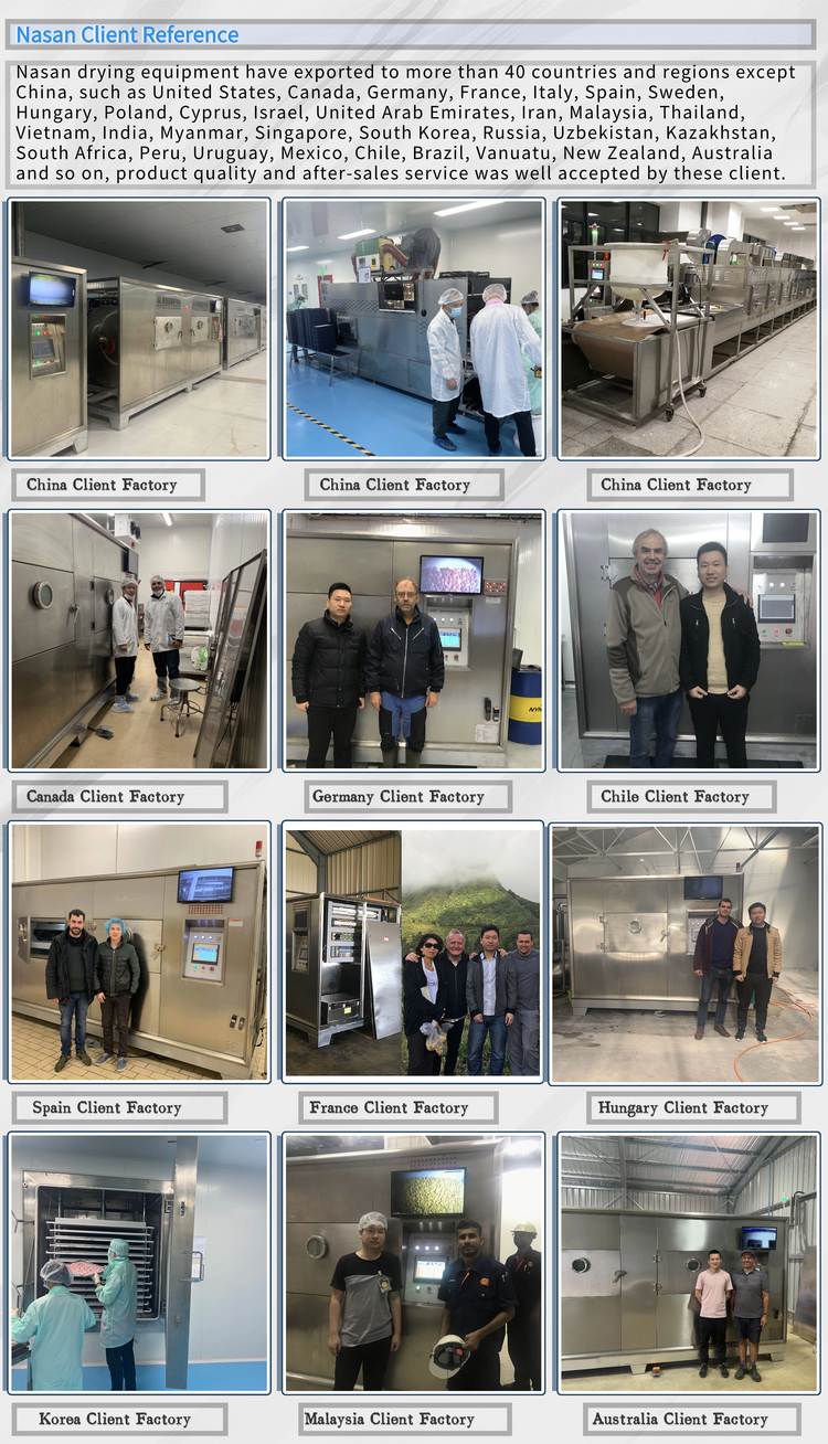 Fruit Vacuum Freeze Dryer