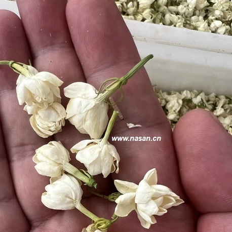 flower dehydrator flower dehydrator