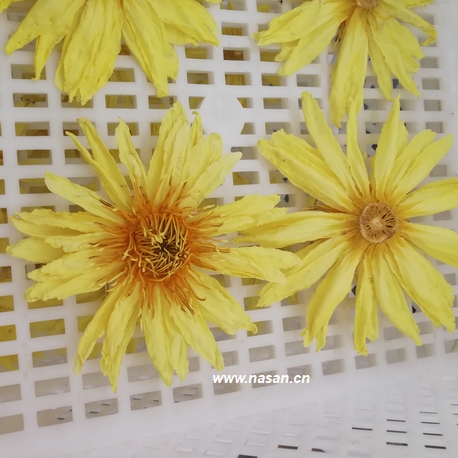 flower dehydrator